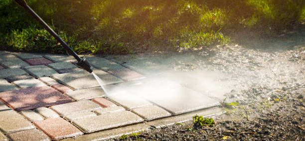 Best Roof Washing  in Hampton, SC